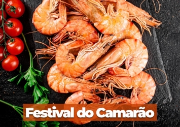 Festival do Camarão/2024